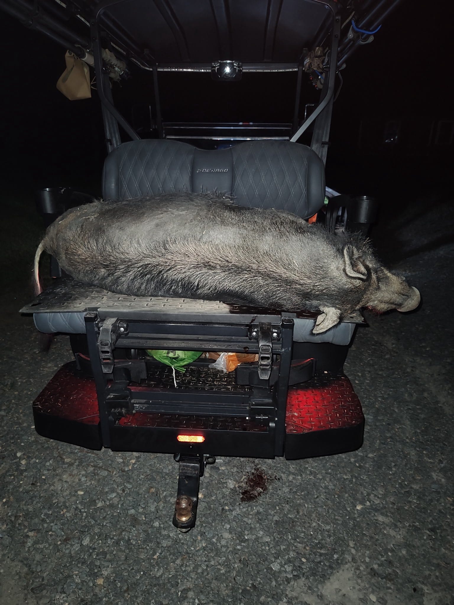 Nomad XL with a boar